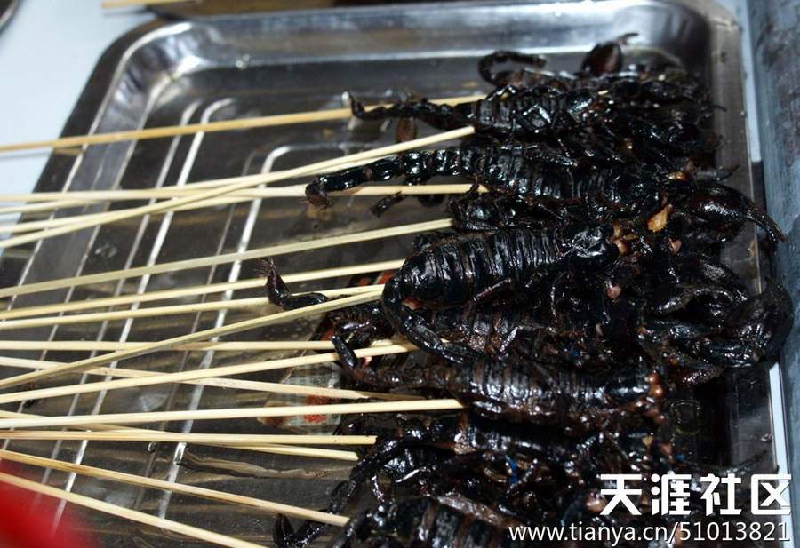 舌尖上的另类美食 你敢吃不? | 新华网重庆频道