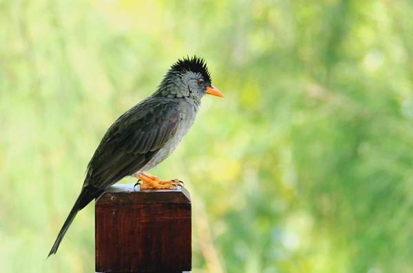 情迷塞舌尔:畅游蓝色伊甸园 - 新华网重庆频道