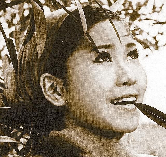 TVB视帝视后:记忆中的演员 - 新华网重庆频道