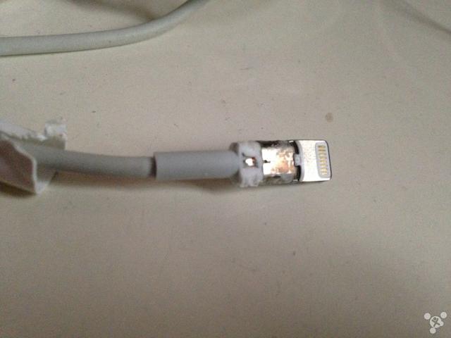 看看富士康产的苹果数据线内部结构