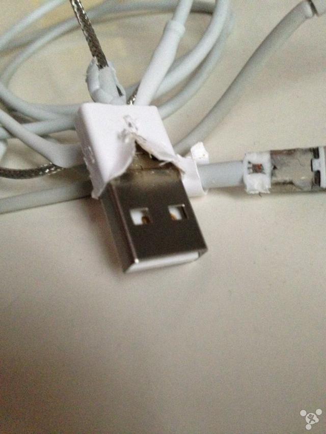 看看富士康产的苹果数据线内部结构
