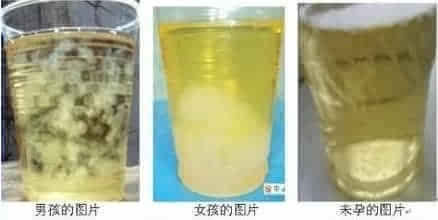酒精能<em>测试生男生女</em> 靠谱吗? - 新华网重庆频道