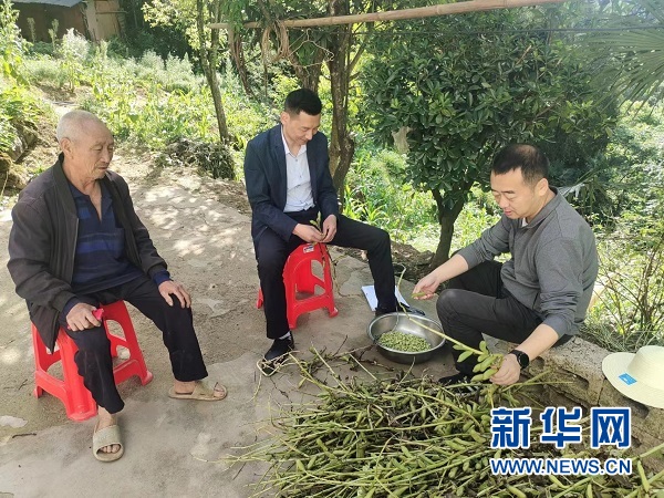 秦巴深处民生情第一书记当先锋