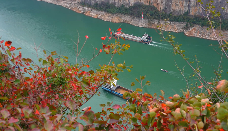 带你看风景|满山红叶映三峡