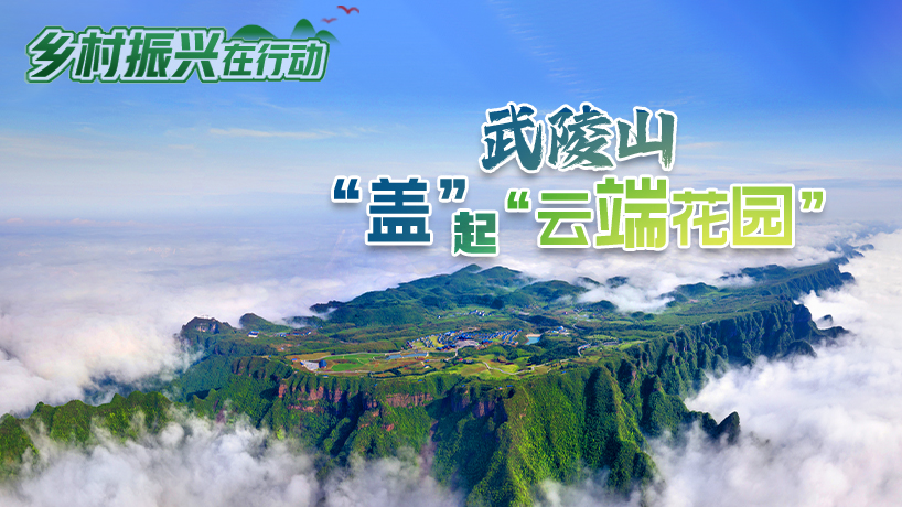 乡村振兴在行动 | 武陵山“盖”起“云端花园”
