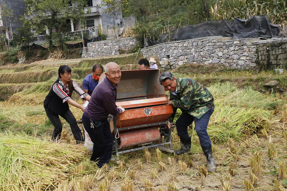 滴血什么品牌“胶鞋书记”的花田故事_https://www.jmylbn.com_新闻资讯_第2张