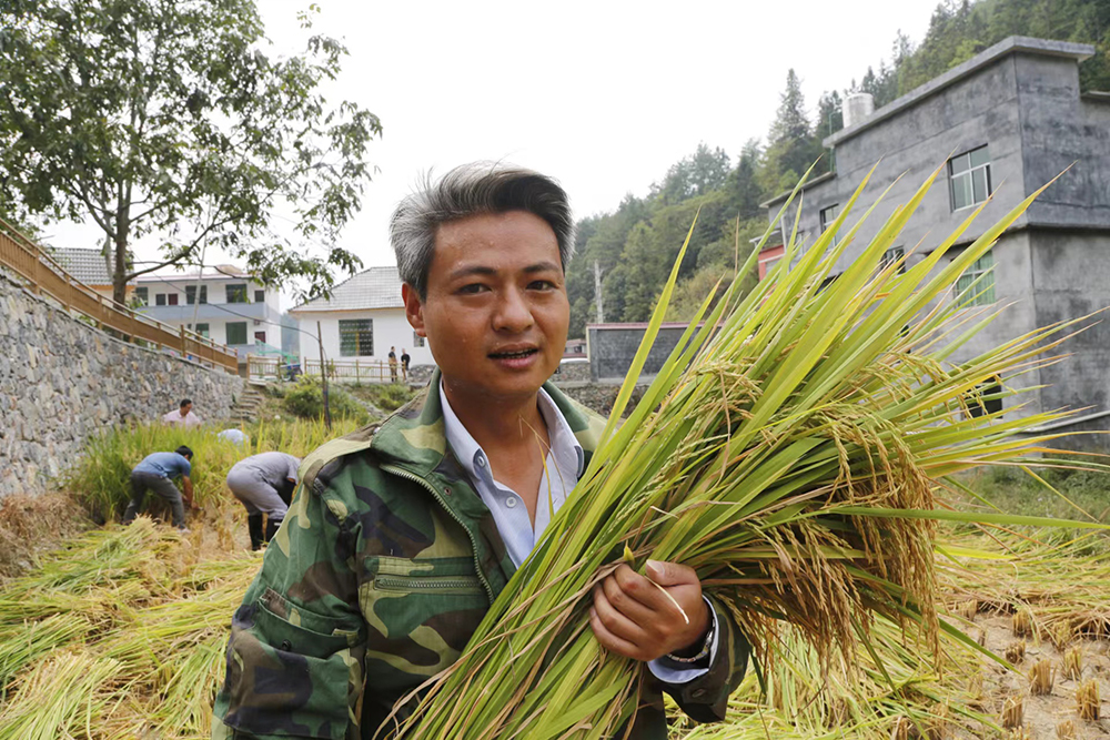 滴血什么品牌“胶鞋书记”的花田故事_https://www.jmylbn.com_新闻资讯_第1张