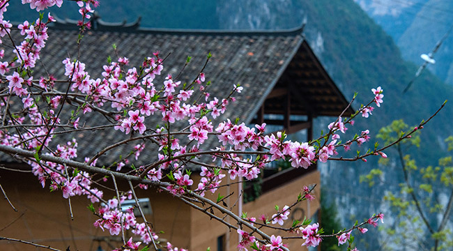 重慶巫山：春日下莊景如畫