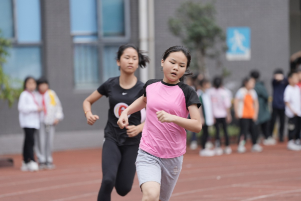 乐鱼网站新华网重庆频道(图2)