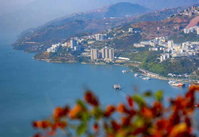 每当这首BGM响起 就到了重庆巫山最美的季节！