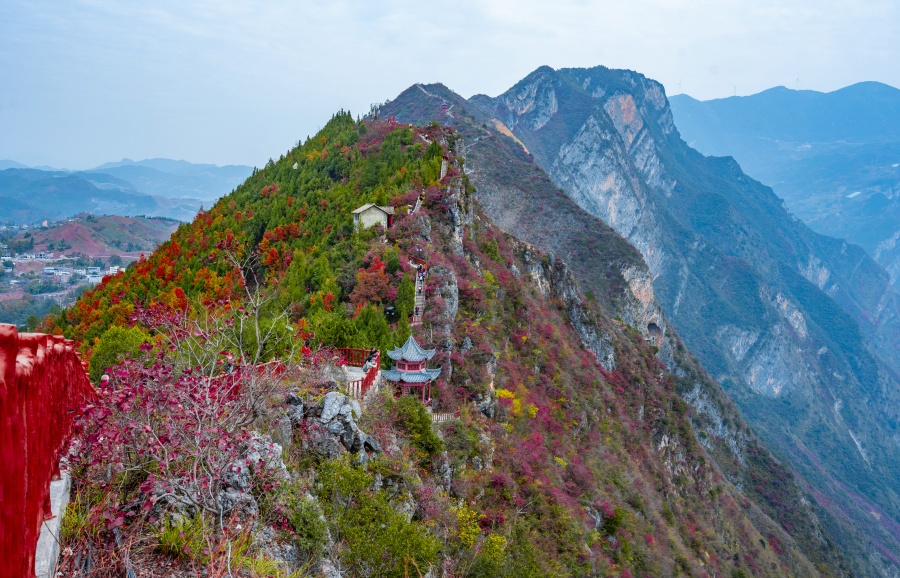 叶寄情思 听，这是巫山红叶为你放歌