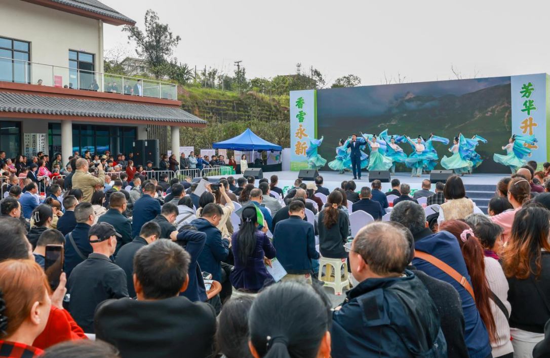 �����뽭����Ķ�滨�����������&ldquo;�»���&rdquo;