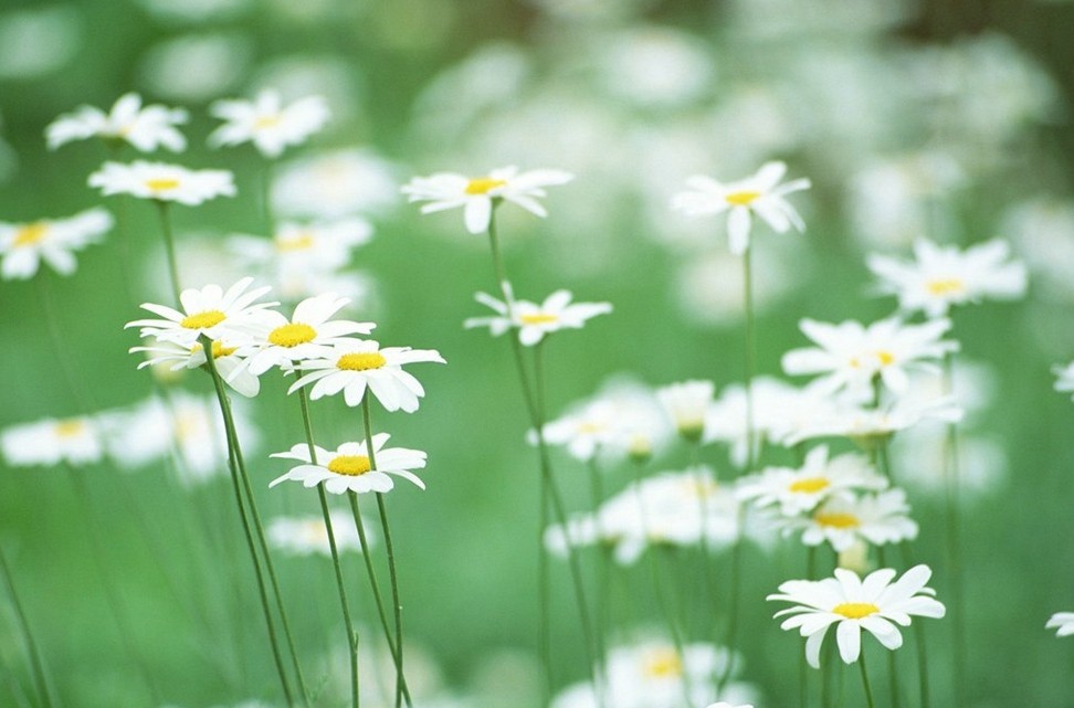 怎样治疗便秘效果最好_重庆奥林中医肛肠医院