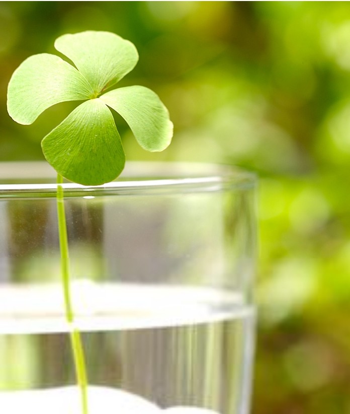 疹手术治疗费用多少_重庆奥林中医肛肠医院--