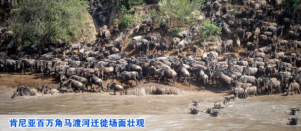 国内奶粉价格高出国外1至4倍 大多品牌不愿回