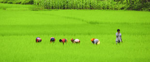 重慶崽兒的尼泊爾遊記