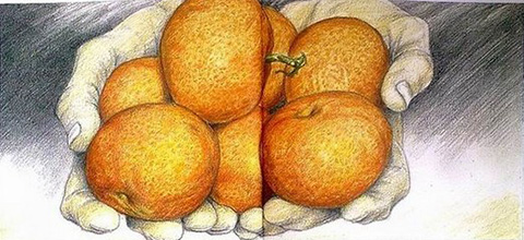 《背影》患了被删妄想症?