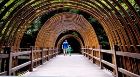 重慶市民黑山谷避暑忙