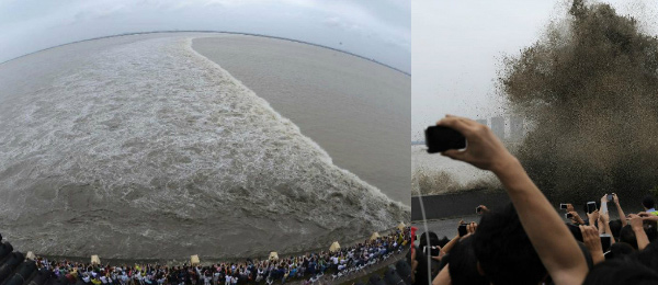 杨幂皮肤差李易峰三白眼 那些毁在照片里的明