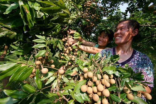 乘兴而行 去永川 - 周末去哪儿?