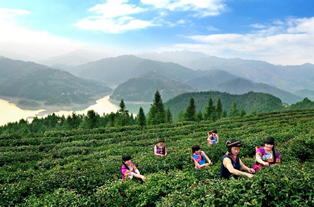 重庆频道:区县栏目