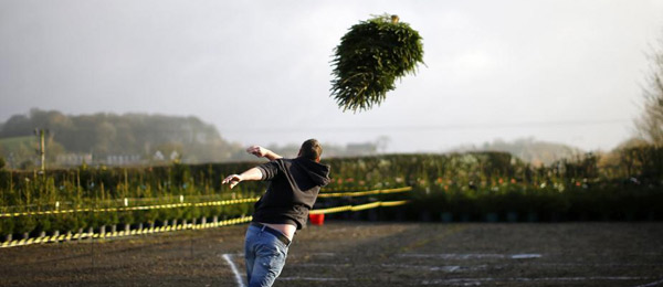 7招对付冬季忧郁症 晒太阳、喝菊花茶