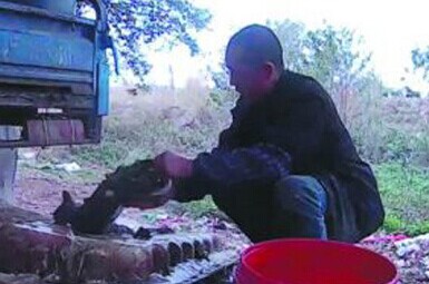 佛山当街宰杀烘烤活猫狗 10分钟1只生意火爆