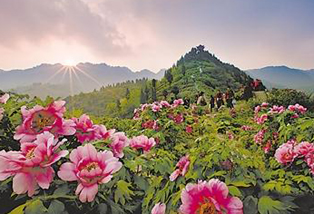 新华周刊|第9期 2015.3.2-2015.3.8