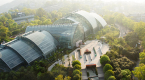 像鳥兒一樣俯衝90度淩空賞花