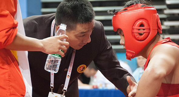 2015全国武术散打锦标赛