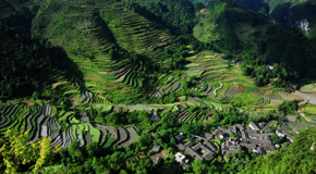 重慶百年古寨遠看如鳳凰歇落