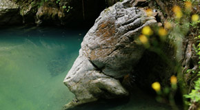 99%重慶人都沒看過的自然奇景