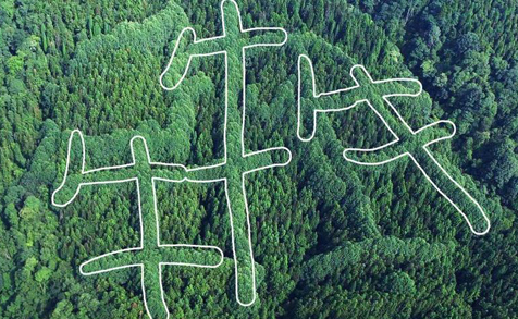 中国麦田怪圈 成都山区现神秘犇字图案