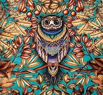 《秘密花園》憑什麼這麼火？