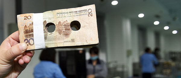 西安一医学院随意丢弃实验用狗 工作人员:不得