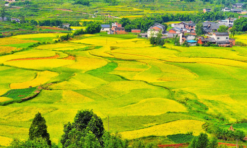 重庆市綦江区特色效益农业招商引资项目推介暨