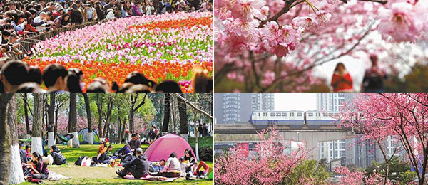 元芳你怎么看? 广电总局赞芈月传 琅琊榜 代表国