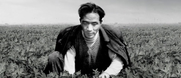 焦裕禄的全家福照片缺了谁?6月20日,新华社为你讲述