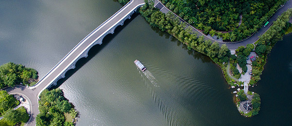 重庆主城湖库水环境综合整治成效显著 湖水清了白鹭来了