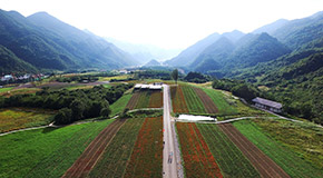 航拍重庆高山草场红池坝