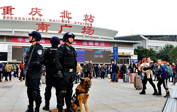春運安保一線特別戰士 警犬上崗保安全