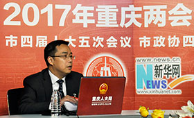 重庆市人大代表、合川区委书记李应兰