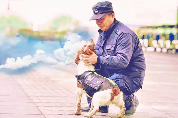 【手機H5】漫漫回家路 脈脈服務情