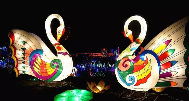 2017重慶首屆冬季牡丹花燈節開幕 花燈齊上如童話世界