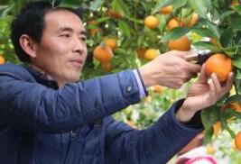 重慶農村電商的新年第一單