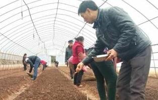 紅明村奏響人勤春早的壯美旋律