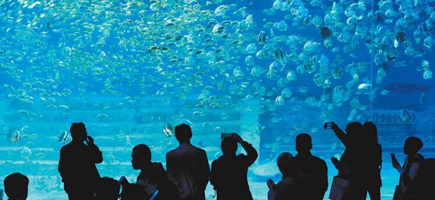 重庆汉海海洋公园开园 十二个主题展区等你来