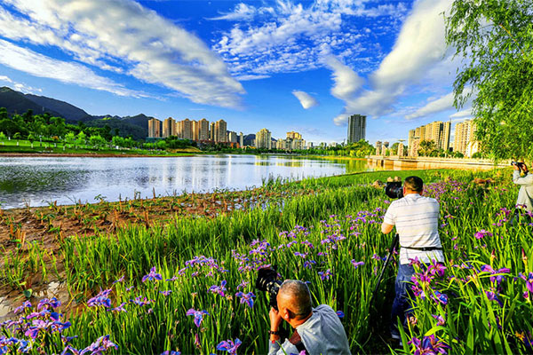 重慶：建設生態文明 堅持綠色發展