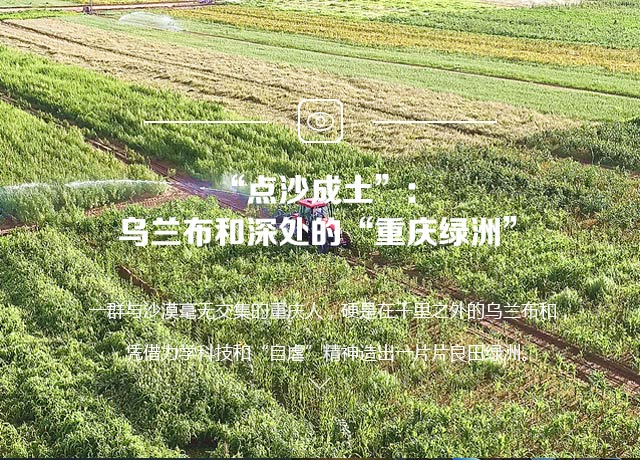 “點沙成土”：烏蘭布和深處的“重慶綠洲”