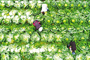 【沸點】攻克深度貧困的重慶"解法"